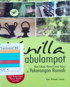 Vanilla tabulampot: kiat sukses panen emas hijau di pekarangan rumah