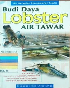 Budi daya lobster air tawar