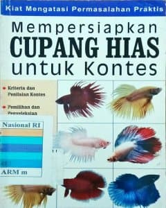 Mempersiapkan cupang hias untuk kontes