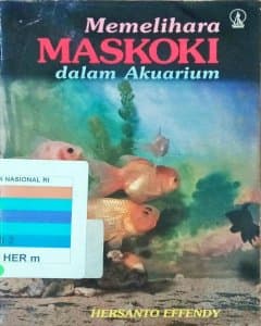 Memelihara maskoki dalam akuarium